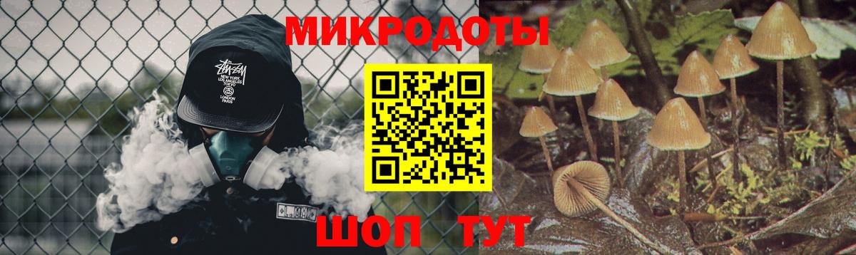 Павловский Посад  Псилоцибиновые грибы GOLDEN TEACHER  Вход с VPN 