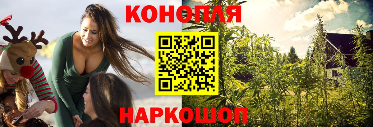 Бошки марихуана ГИДРОПОН Павловский Посад
